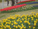 awaji3