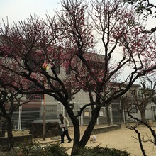 IMG_0988