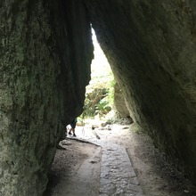 IMG_1507
