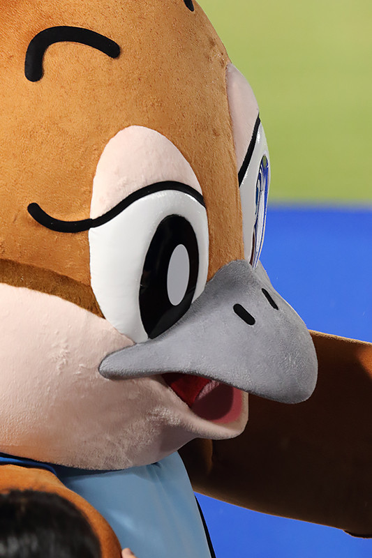 GAMBA20150722C