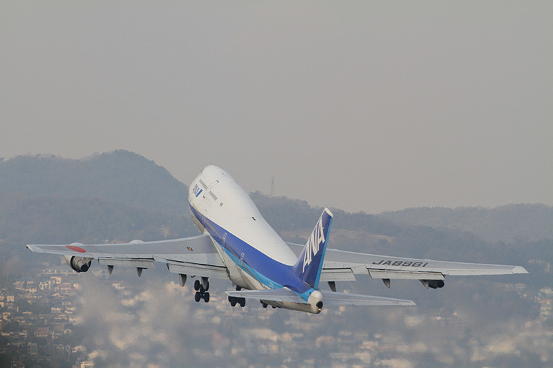IMG_3595sss