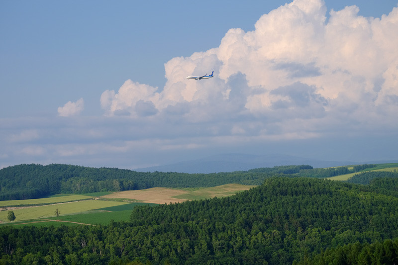 Biei20140703