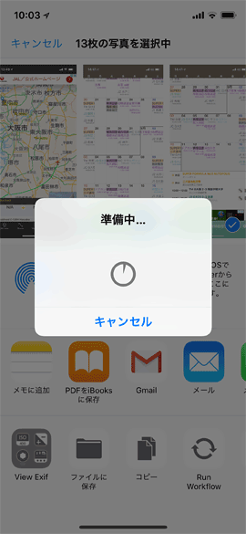 iPhoneXbug05