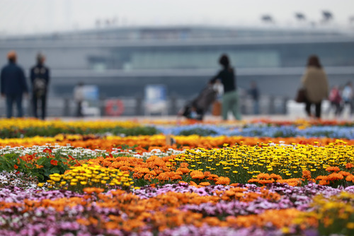 EOS6D_Sample7A