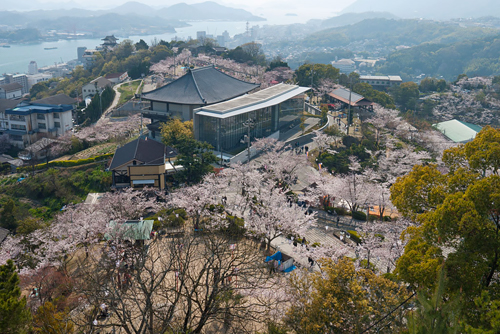 Seishun18_2016Spring3D