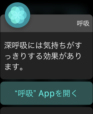 AppleWatch4Nike45