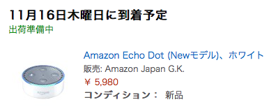 AmazonEchoDot03
