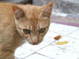01e835f6.jpg