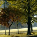 04125eb7.jpg