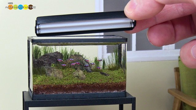 ミニ水槽ハムスターのミニチャ工房