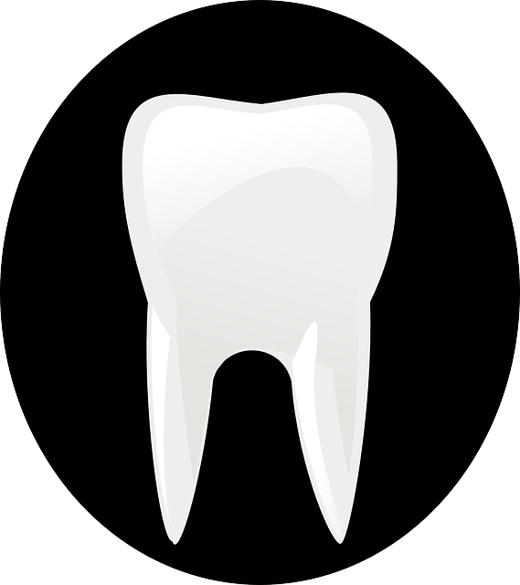 tooth-146674_640