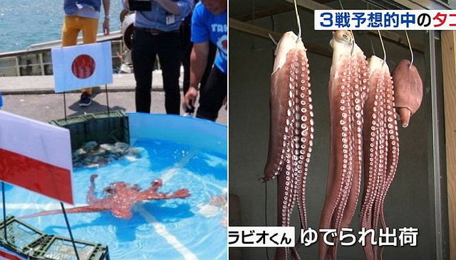 ラビオくん
