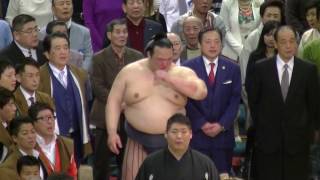 稀勢の里