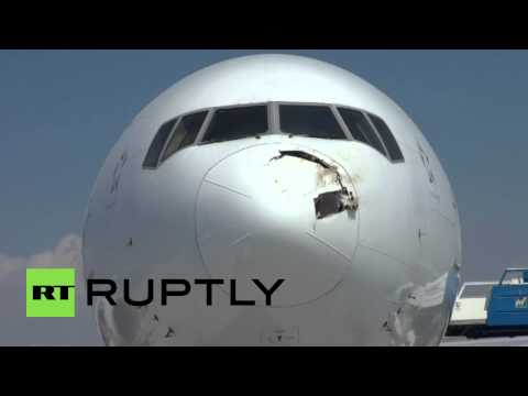 シンガポール航空コウノトリ衝突