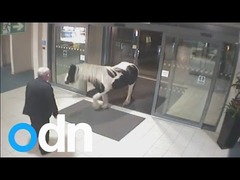 馬チェシー警察署