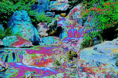 PicsPlay_1524914519733