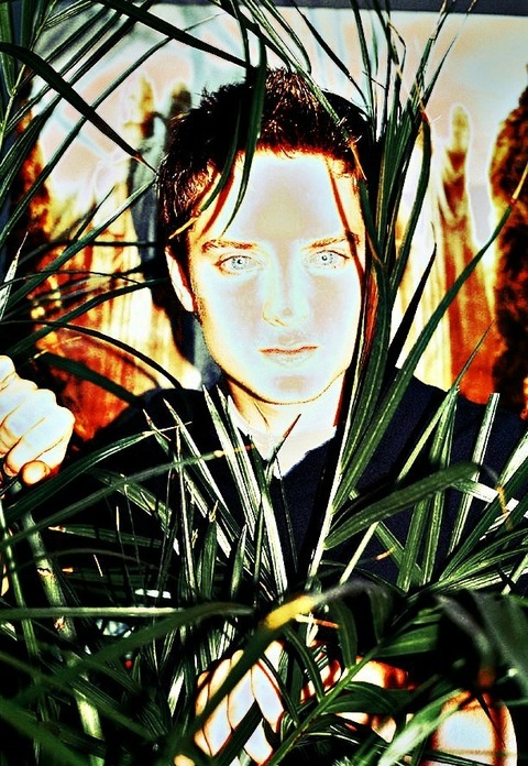 [画像:429da7da-s.jpg]