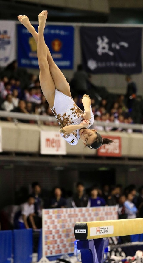 f-nsp170407_hatada-ogp_0