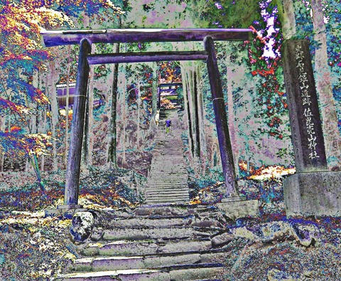 PicsPlay_1524917082853