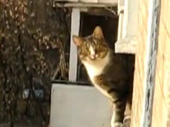 201202130001
