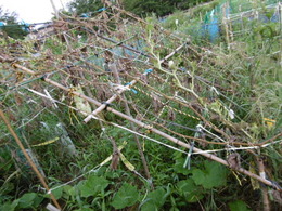 P1000824