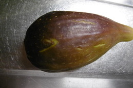 P1000132