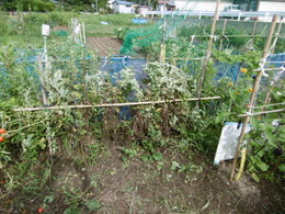 P1000836