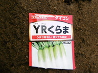 P1000747