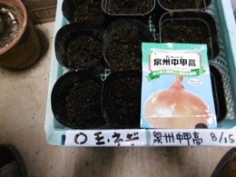 P1000730