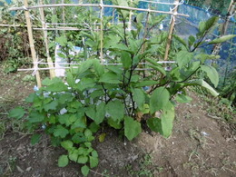 P1000828