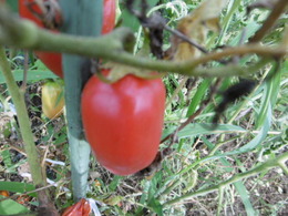 P1000834