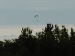 P1000732