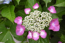 P1210462