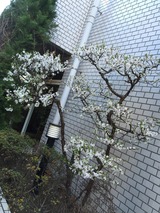 2015-03-25-09-58-01