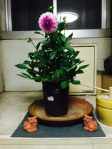 2015-07-02-19-03-20