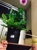 2015-07-02-19-03-26