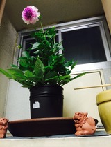 2015-07-02-19-03-40