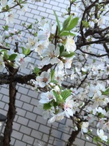 2015-03-25-09-58-14