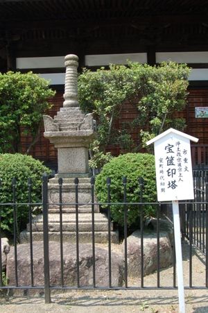 No554-2
