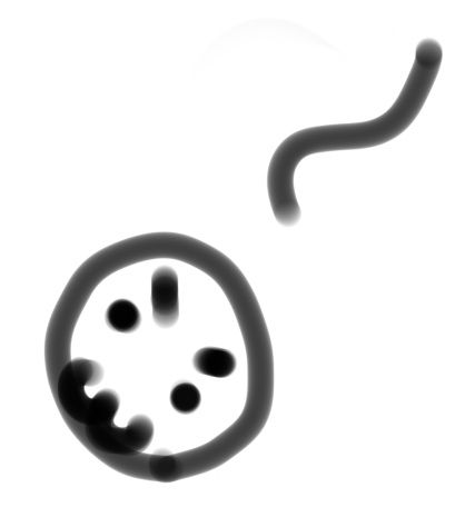 onani-ni