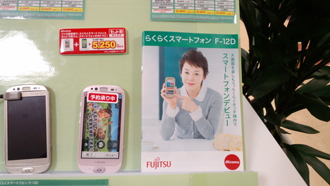 らくらくスマートフォンプレミアム F-09Eのカメラで撮影した写真2