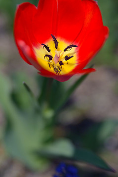 Nikon D800E image