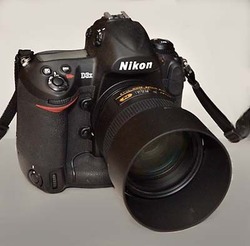 _DSC0594w