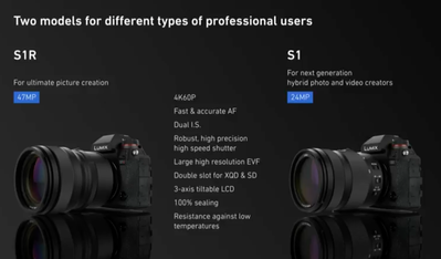 Lumix S