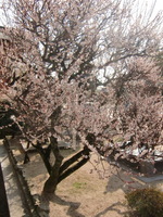 CIMG9584