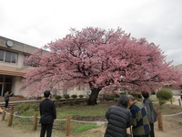 CIMG9749