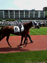 d07e79f9.jpg