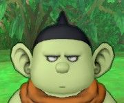 donguri