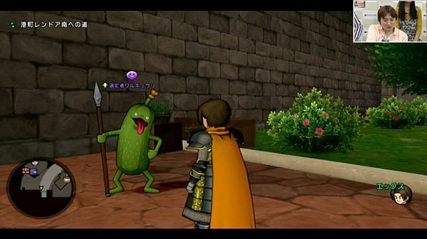 dq10002070