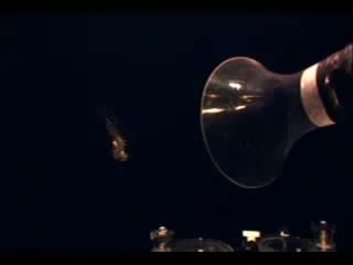 sm13473435_00005250